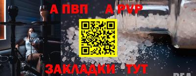 шишки Берёзовский