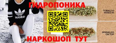 шишки Берёзовский